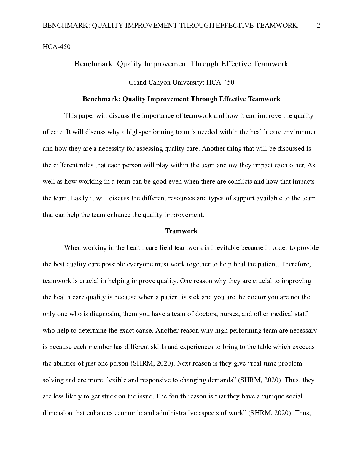 document-preview